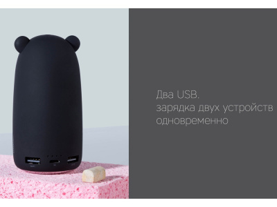 Внешний аккумулятор NEO Bear, 10000mAh